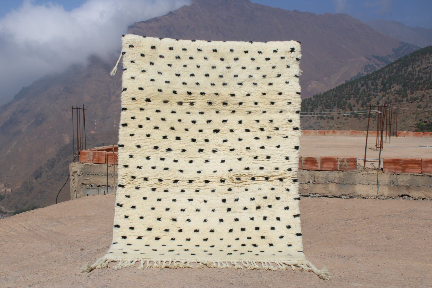 moroccanrugs wool rugs 8x10 area rugs outdoor rugs black and white rugs My Store